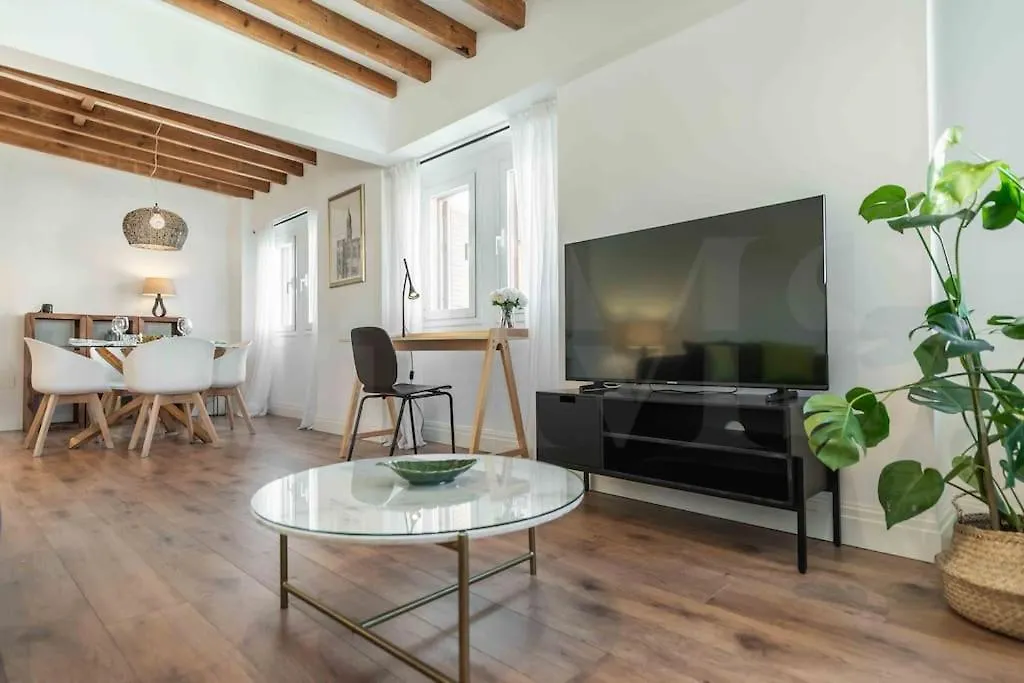 Modern Apartment Next To The Cervantes Theatre By Rems Malaga Spain